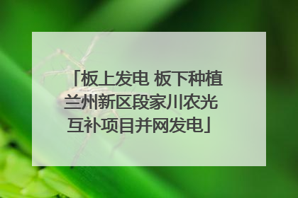 板上发电 板下种植 兰州新区段家川农光互补项目并网发电